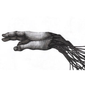 Meet your Posher, Lorenzo